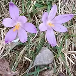 Gazdowka Na Mosornym Groniu Alloggio per agriturismo
