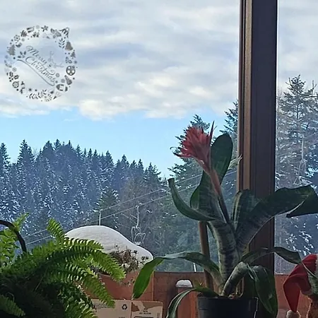 Gazdowka Na Mosornym Groniu Lantgård *